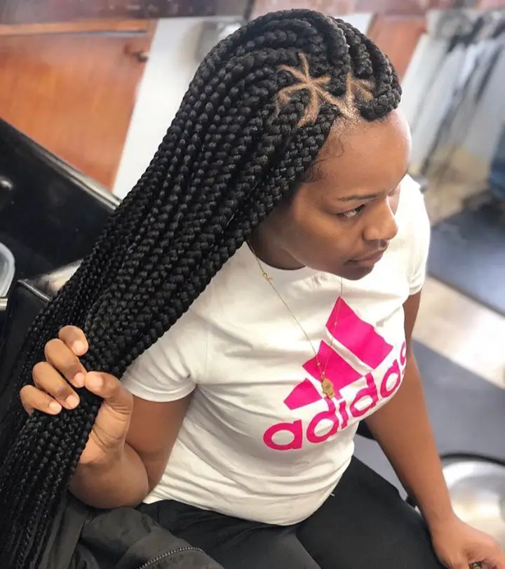 Box Braids Hairstyles 2019 Pictures.