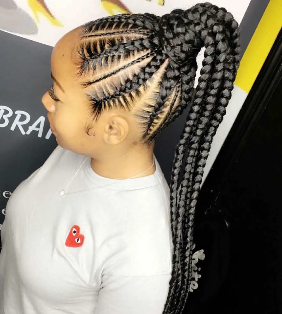 2019 Braid Trends : Amazing Hairstyles for Striking Looks