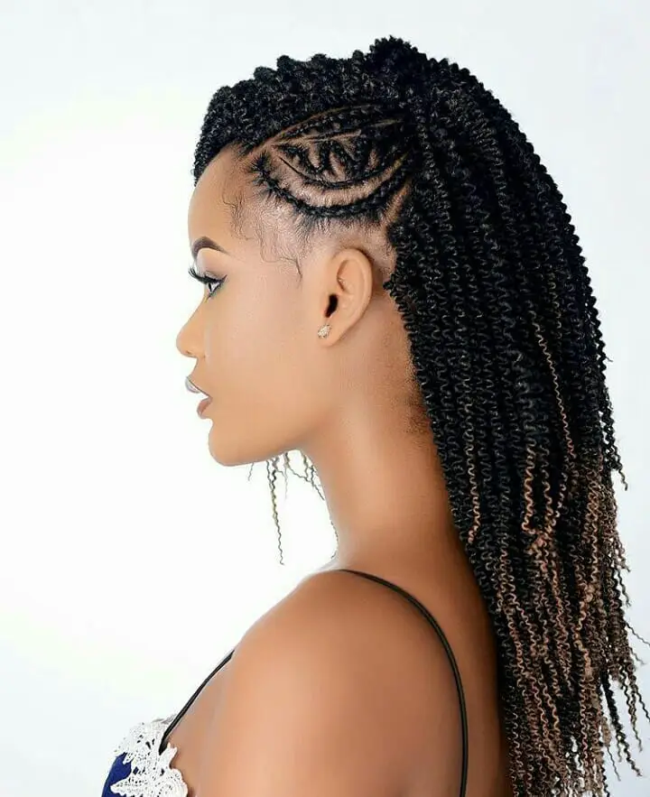 Braids Hairstyles 2019 Pictures