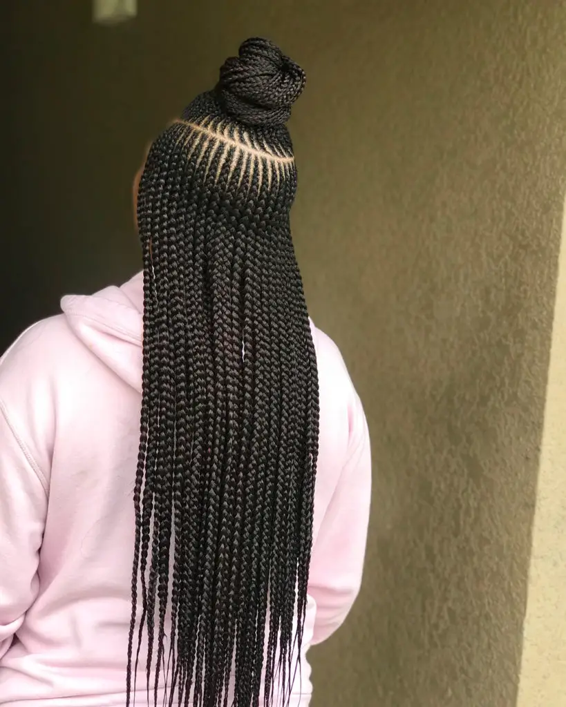 Braids Hairstyles 2019 Pictures