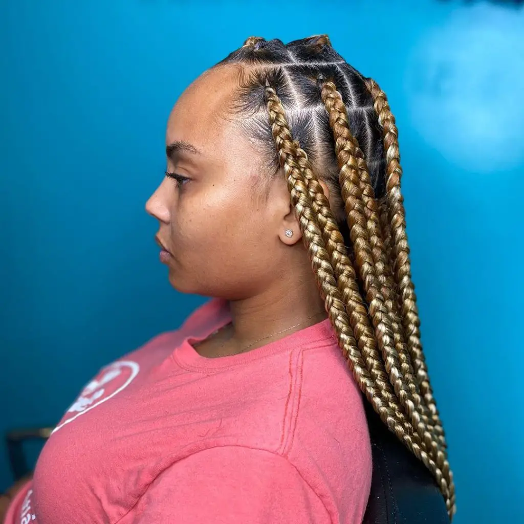 2022 Braided Hairstyles: Latest Box Braid Hairstyles To Try Now